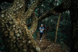 BIB: 
                            <button type="button" onclick="openModal(25696475)" class="btn btn-primary btn-sm float-right btn-popup" data-toggle="modal" data-target=".modal-high-quality">
                        <i class="fas fa-shopping-cart"></i> Add to Cart
                    </button>
                                            <button type="button" onclick="isThisMe(25696475, true)" class="btn btn-success btn-sm float-right btn-popup btn-isme hidden" data-toggle="tooltip" data-placement="bottom" title="นี่คือรูปของคุณใช่ไหม คลิกที่นี่เพื่อเอาเข้าอัลบั้ม">
                        <i class="fas fa-plus"></i> Add to album
                    </button>
                    <button type="button" onclick="isThisMe(25696475, false)" class="btn btn-warning btn-sm float-right btn-popup btn-isnotme hidden">
                        <i class="fas fa-ban"></i> Remove from album
                    </button>